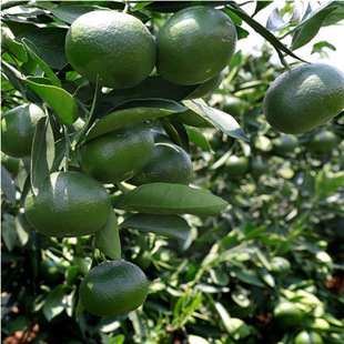 �޽ӻʵ۸̘���c����ؕ�������ָ̽۹�����ɳ���ۘ����������