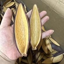 p𚤲廨ȻֲҾӔ[OնYƷMڸɹɻbDIYˇ