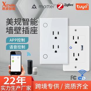 118 US Gauge Wall Socket Graffiti Wifi Smart Socket Zigbee Remote Timing Switch Homekit Wall Plug