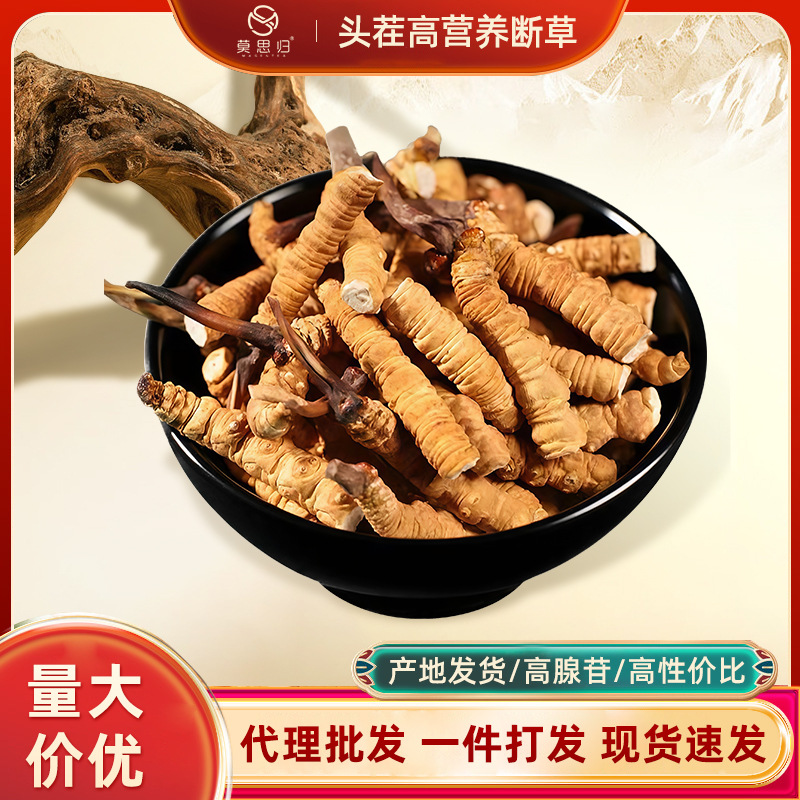 冬虫夏草大断草批发零售干货有头有尾虫草断草肉节