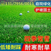 ��ƺ�����o�¹���������é�ļ�����ͥԺ��̺��Ƥ�G�������ݷN����