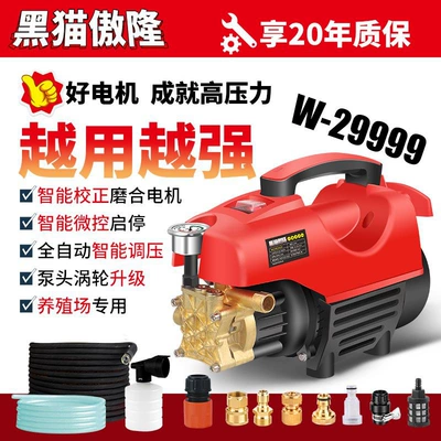Home Use 220V Cleaning Machine High-Power | Portable car washer
