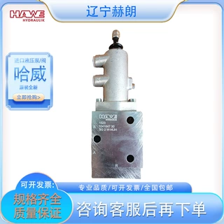 德国哈威品牌SVC46E-160限压阀 HAWE原装全新限压阀 柱塞泵阀