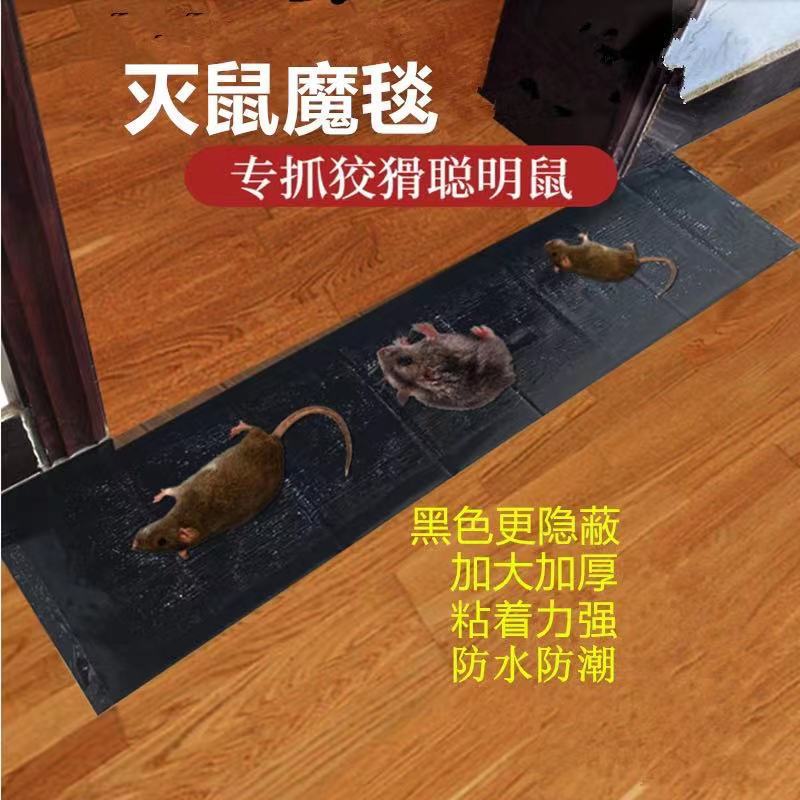 滅鼠魔毯老鼠貼粘鼠板廚房家用捕鼠器抓老鼠一件代發粘鼠板批發