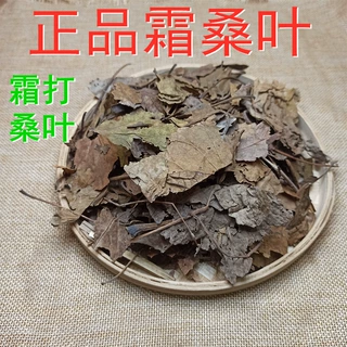 霜桑叶 霜打桑叶500克 桑叶茶霜后干冬桑叶代磨桑叶粉中药材批发