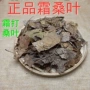 桑叶茶中药材