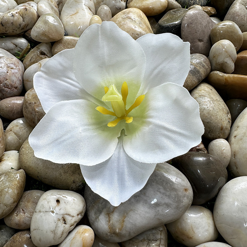하얀색