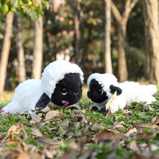 �ɐ�ſſС�d����ż���к�ĘС�����ë�q���Ů���Y�ﲼ�������l