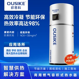 燃气锅炉;电热锅炉;燃气热水器