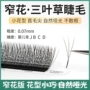 柔软开花师专小口睫毛