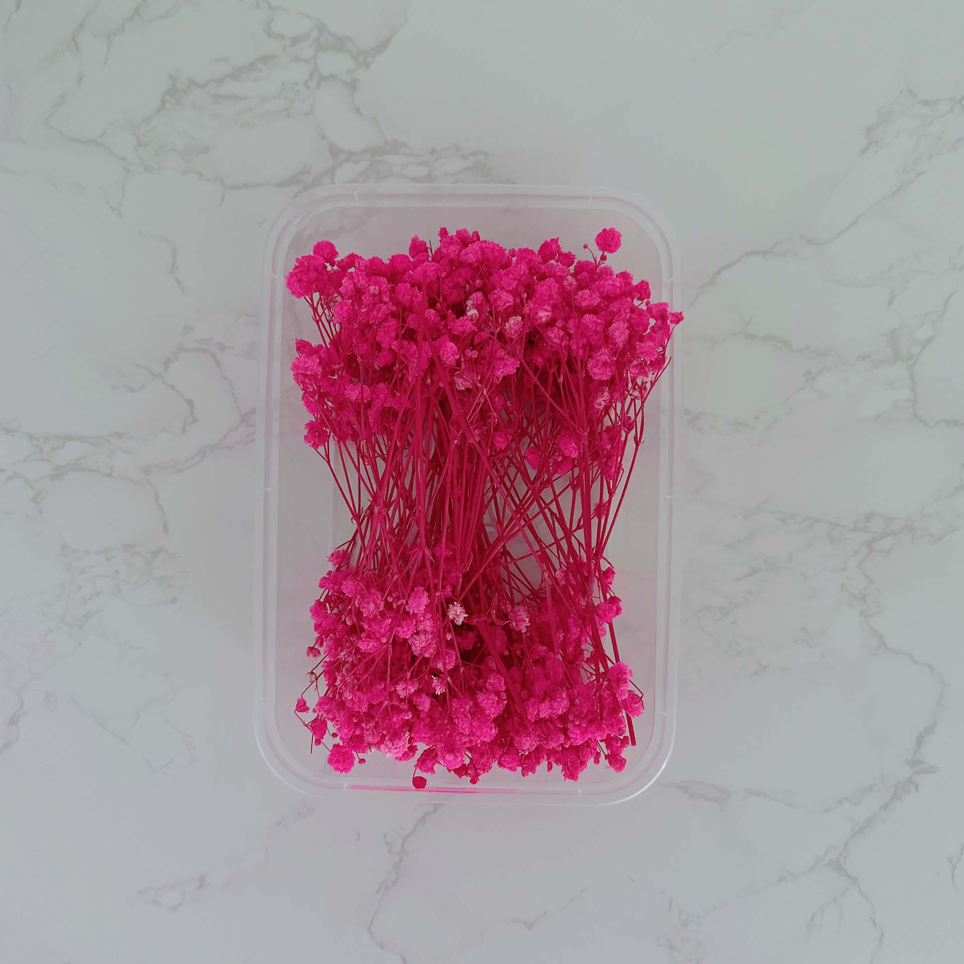 Rosa cielo estrellado