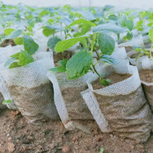 无纺布育苗袋树苗营养袋可降解容器苗圃营养袋园林美植袋