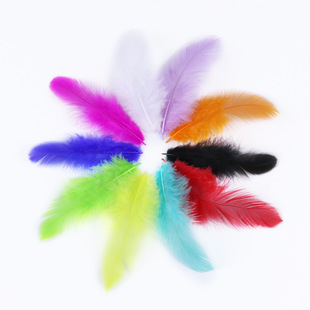 ���S���l�uë��ë�Ʒ�����ɫ��ëɢ�b�o���h��5-10CM��ë�����