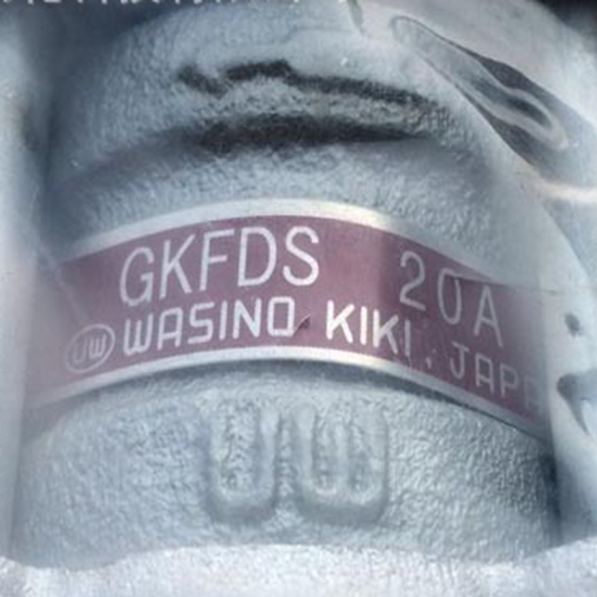 GEFDF-15A日本华斯洛wasinokiki球形观察镜GKF13F-100A