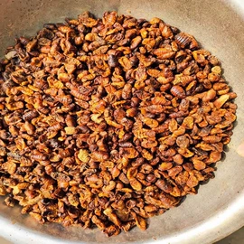 蚕茧、蚕丝;动物性饲料;蚕丝光胎