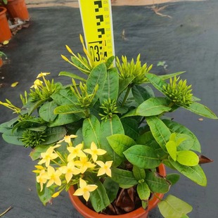 ���ع����G������������������ͥԺ���@�҃��̨���ܾGֲͥԺ�Gֲ