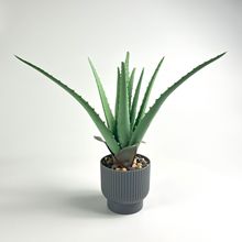 �羳�����J�C���Ԅ���[���Ҿ��b�͔[���S�����l�ָ��z�Gֲ����