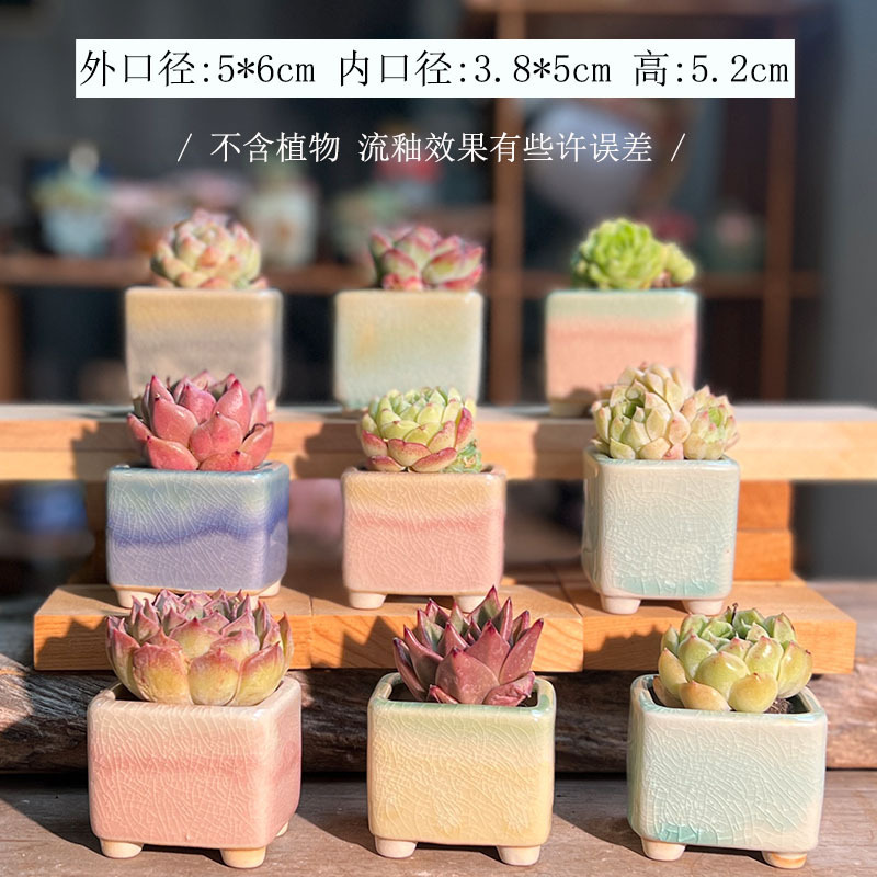 新型の親指鉢の多肉の植木鉢は釉薬の窯を流して白土になります。|undefined