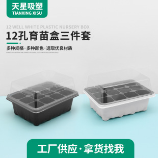 [Manufacturer Wholesale] Amazon Cross-Border Popular 12-Hole Seedling Box Set 12-Hole Plug Tray Seedling Pot Planting Box