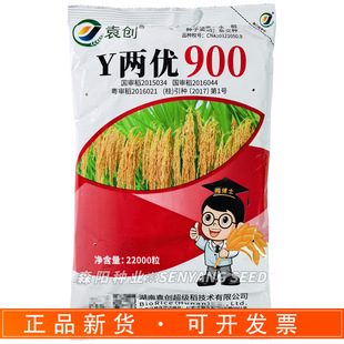 Ԭ�� Y�Ƀ�900ˮ���s���Nһ���е��p�������N�Ӈ������ﵾ��y�Ƀ�