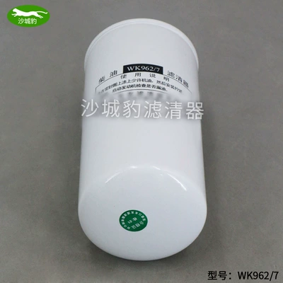 heavy truck haowosan – Diesel filter