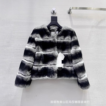 高级感青紫蓝毛底绒密圆领高贵龙猫懒兔毛简约大方百搭外套皮草