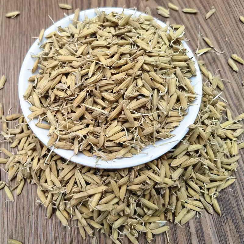 Dried Rice Sprout Dao Ya Whole Sprouted Grain Raw Herb for Decoction and Tea key features