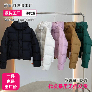 Wholesale Nagata Lu What Exposed down Jacket Four-Compartment down Jacket Puff Goose down Jacket Classic Warm Jacket