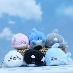 �ɐ��Ⱥ������С���ë�q������~���ຣ�����а������耳׿�