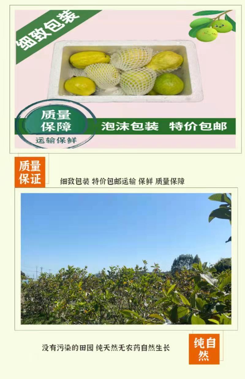 2919cc17-4fd9-4acb-b0ed-4534839a96e1.jpe