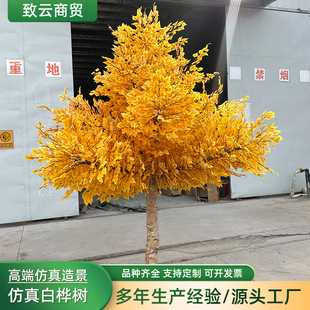 ����ט���ֲ���S��c���������쾰�����҃��b٘�ט��