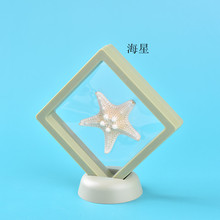 标本海螺贝壳 天然海螺贝壳幼儿教学用具 寄居蟹替换壳批发