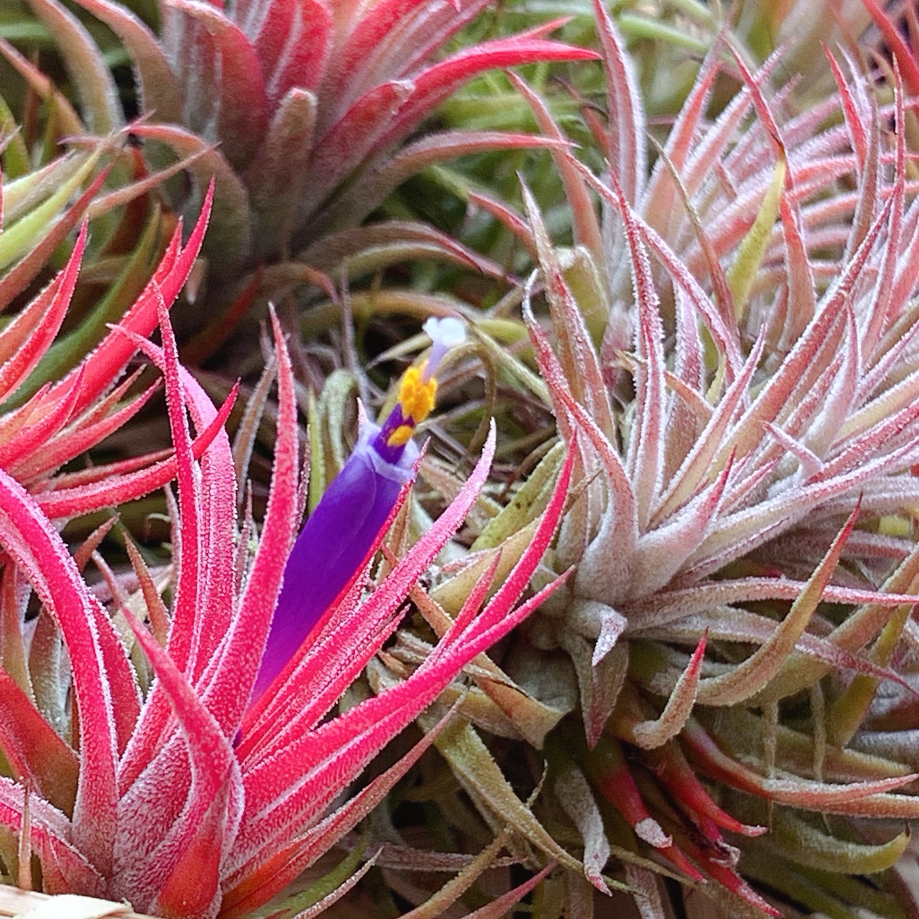 微信图片_20240411134802