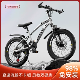 儿童自行车;山地自行车;自行车