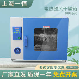 上海一恒 DHG-9140A 电热鼓风干燥箱  烘箱  老化箱