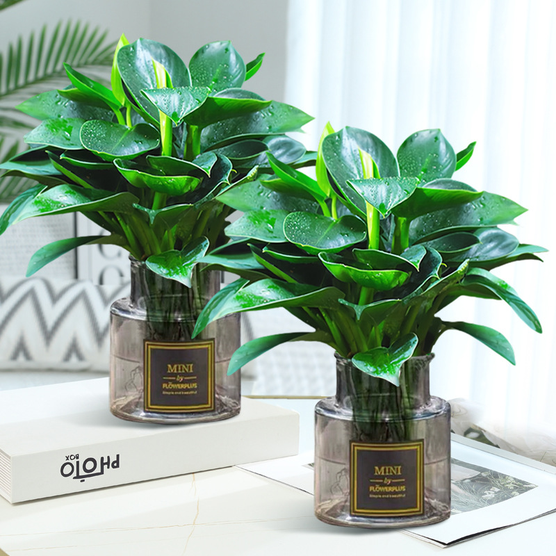 [주인 추천] [2개] 골든 다이아몬드 3개(하이넥 그레이 유리병) + 크리스탈 머드 +