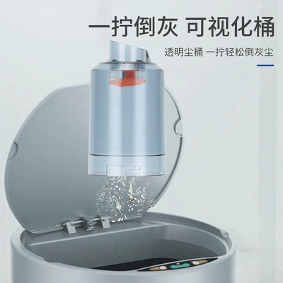 suction dual-purpose dust blower, Tozsoranlar