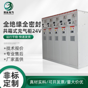 Fully Insulated and Fully Sealed Combined Gas-Filled Cabinet 24V High-Voltage Fully Gas-Filled Distribution Cabinet Intelligent Type
