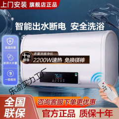 Haizhu 浴室用電気温水器、家庭用急速加熱および定温 60 リットル浴室貯水式電気温水器、賃貸用