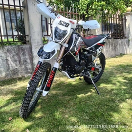 沙滩车;其他摩托车