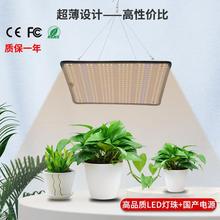 ����ѷ100Wȫ����ledֲ������Ҵ����߲˹Ϲ����ܶ���ֲ��������