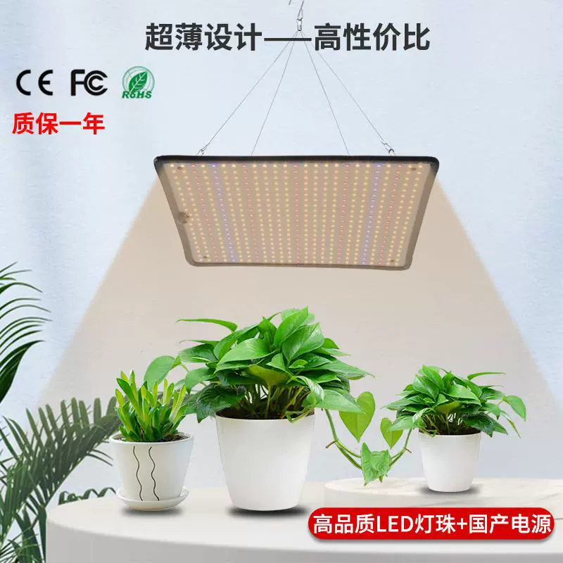 LED-растениевая лампа, Amazon, 100Вт, комфортная световая сфера