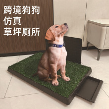 �羳�¿�ﹷ�������ٲ�ƺ�����С��䁉|������ƤӖ���ώ���