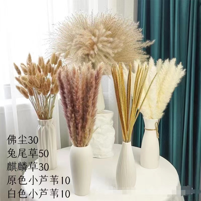 微信图片_20240408191455