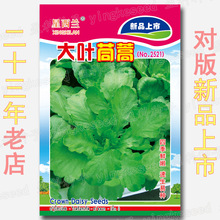 ~NļN׷N҃@S۲߲˷NӲ˷Nl