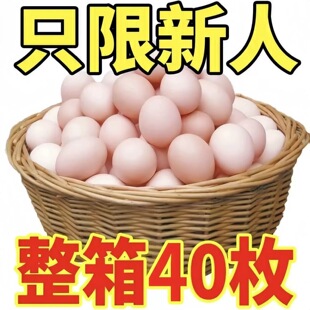 广州润速贸易商行