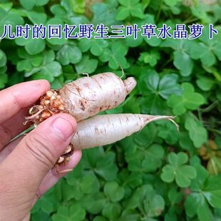 �M�����~�ݷN�Ӱ����~�t���~�N�Ѳ�ƺ�G�����ӷN���ѹ��@�ݷN�ļ�