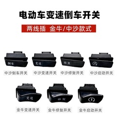 电动车踏板五大开关中沙金牛款变速倒车启动通用配件改装两插线灯