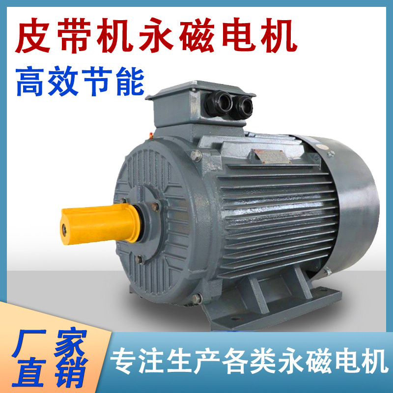 永磁同步直流有刷高速皮带轮传动电机大功率马达水泵调速