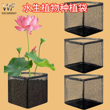 �ɶ��ƿ羳���ϾW�@�ֳ���ˮ��ֲ��Nֲ�W��С�������ϾW�����ϾW
